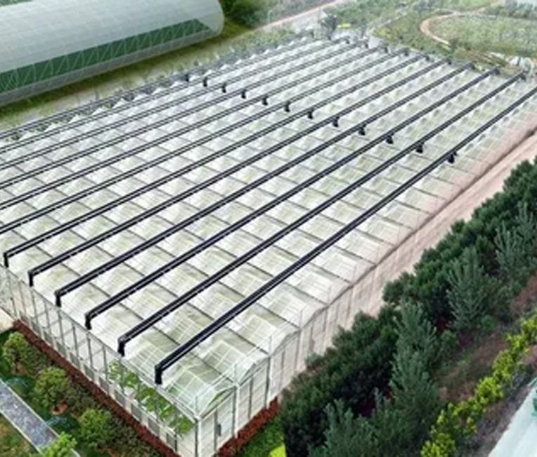 Ingeniería de estructuras de acero del proyecto de agricultura digital Alibaba de Shanghai